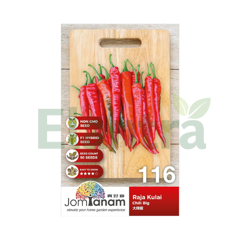 116 CHILI BIG
